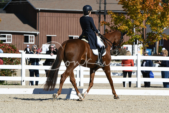HSM_1306