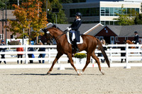 HSM_1307