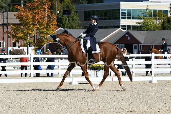 HSM_1307