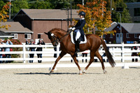HSM_1309