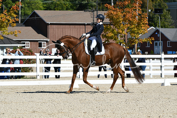HSM_1310