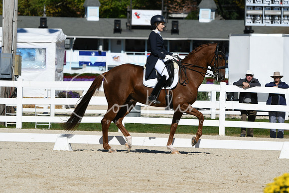 HSM_1319