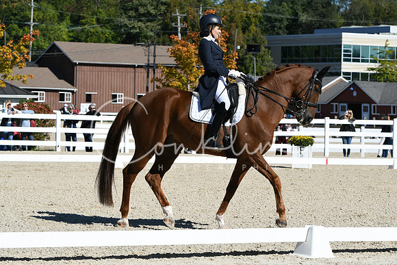 HSM_1328