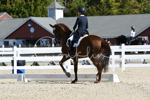 HSM_1329
