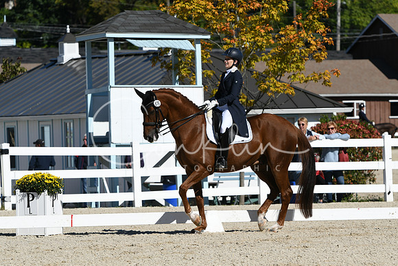 HSM_1333