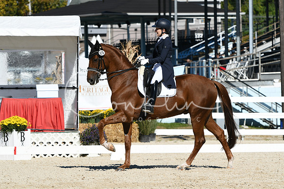 HSM_1351