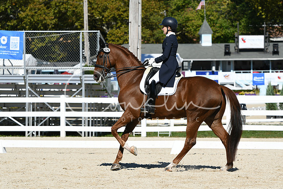 HSM_1352
