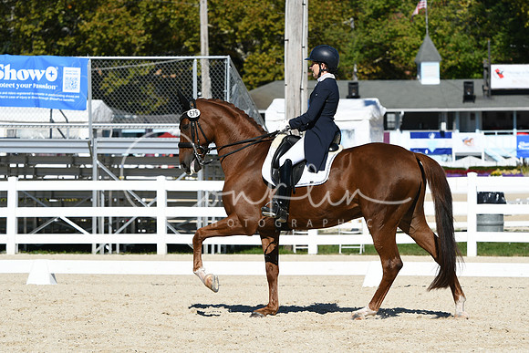HSM_1353