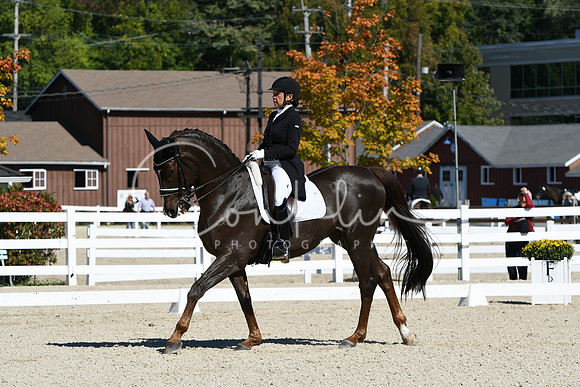 HSM_1782