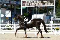 HSM_1791