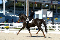 HSM_1793