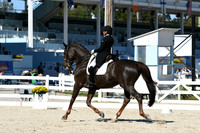 HSM_1794
