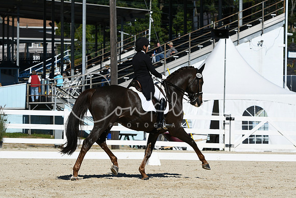 HSM_1806