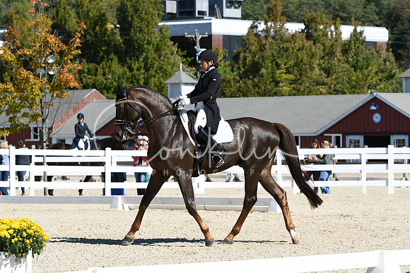 HSM_1811