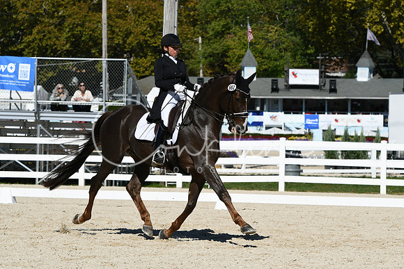 HSM_1831