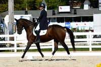 HSM_1708