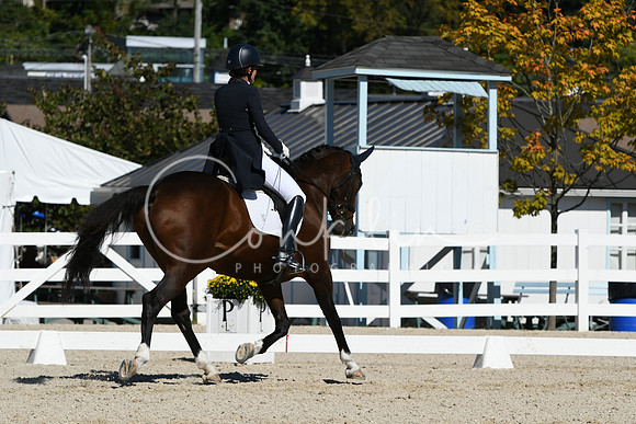 HSM_1723