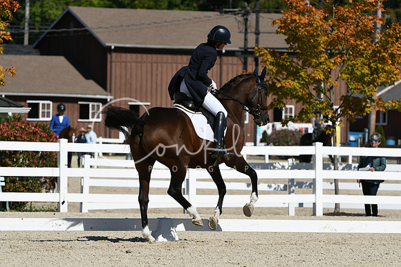 HSM_1749