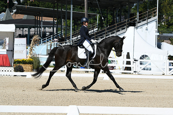 HSM_2763