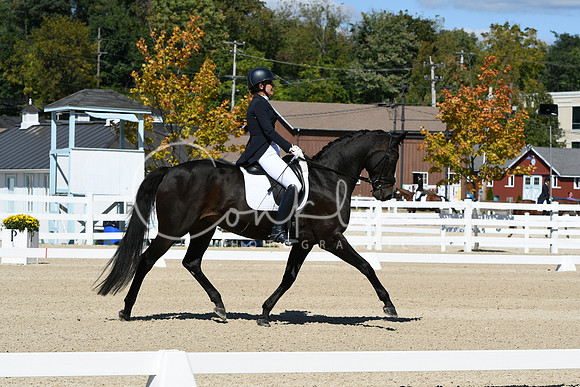 HSM_2766