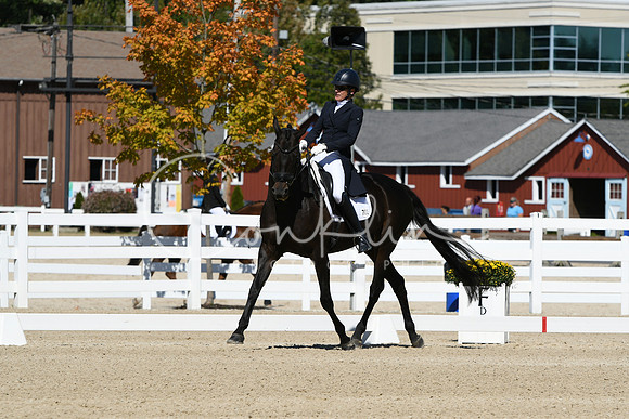 HSM_2770