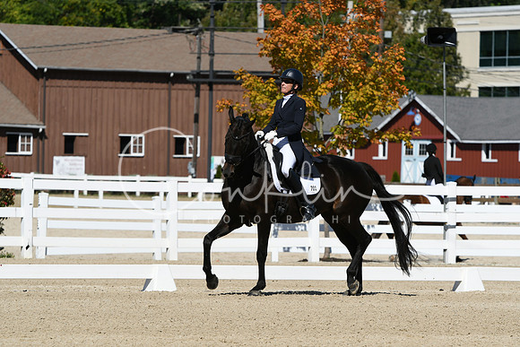 HSM_2772
