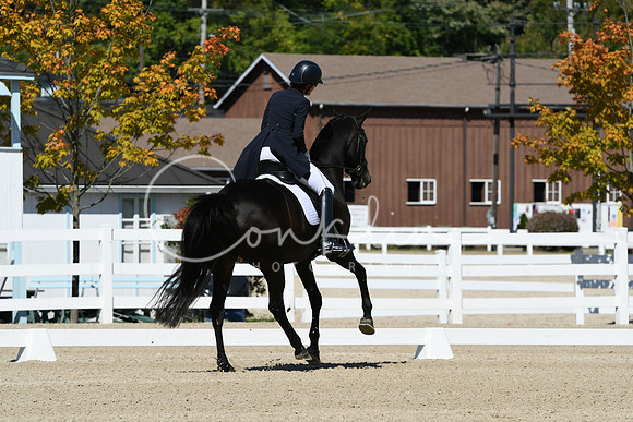 HSM_2818