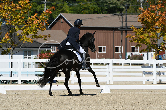 HSM_2819