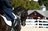 HSM_2385
