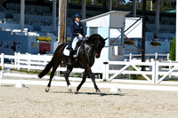 HSM_2396