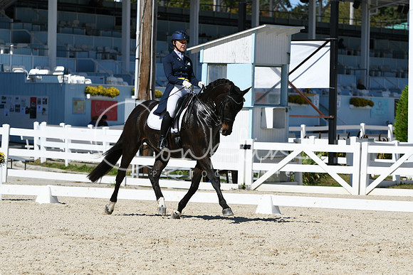 HSM_2396