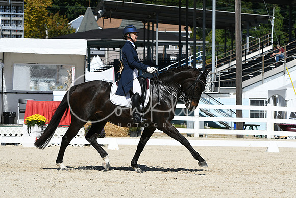 HSM_2401