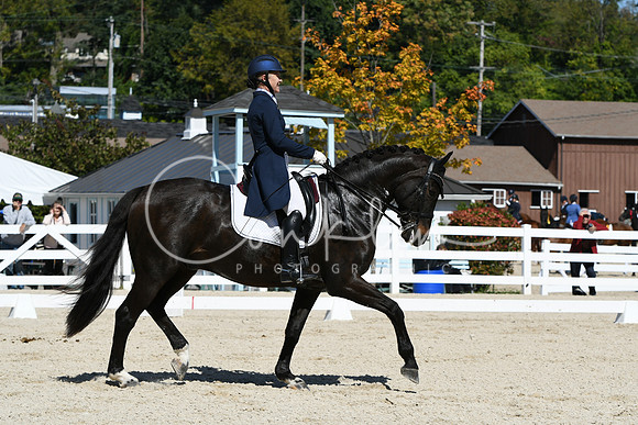 HSM_2404