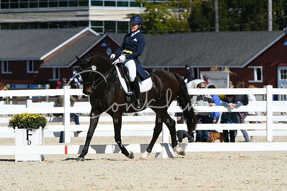 HSM_2406