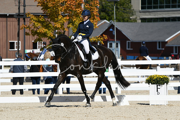 HSM_2410