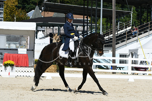 HSM_2441