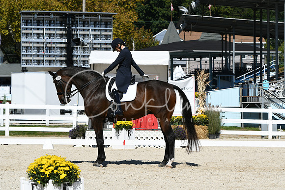 HSM_2217