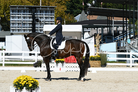 HSM_2219