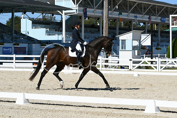 HSM_2226