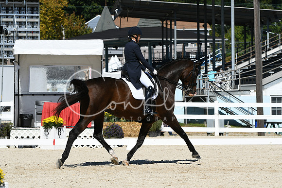 HSM_2229