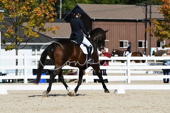 HSM_2233