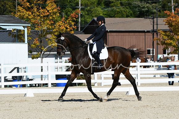 HSM_2241