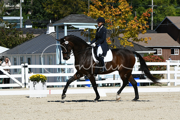 HSM_2242