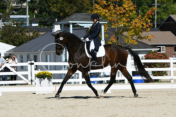 HSM_2243