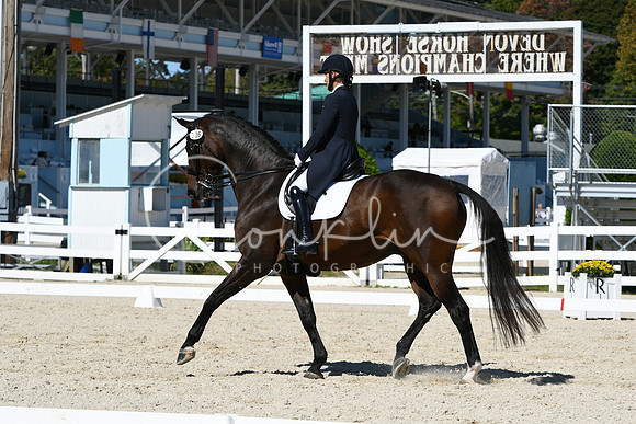 HSM_2252