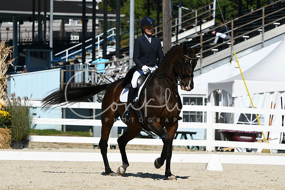 HSM_2262