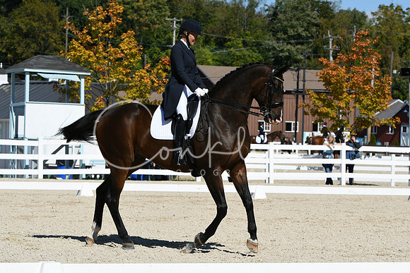 HSM_2271