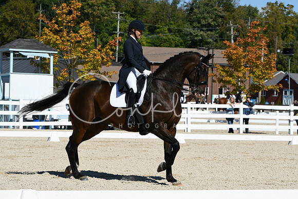 HSM_2272