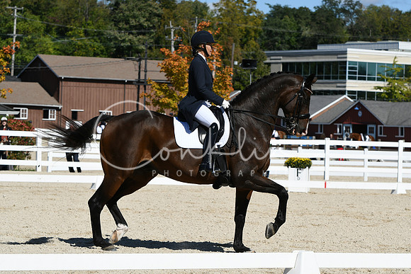 HSM_2273