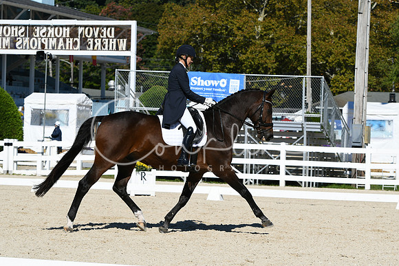 HSM_1198